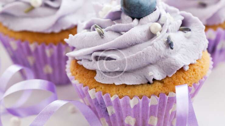 Blueberry Cupcakes